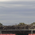 13_00-mast.jpg