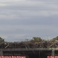 13_05-mast.jpg