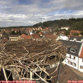 13_05-nest.jpg