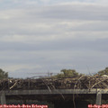 13_10-mast.jpg