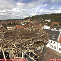 13_10-nest.jpg
