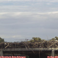 13_15-mast.jpg