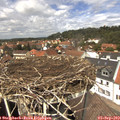 13_15-nest.jpg