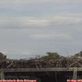 13_20-mast.jpg