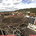 13_20-nest.jpg