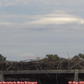 13_25-mast.jpg