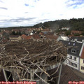 13_25-nest.jpg