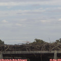 13_30-mast.jpg