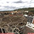 13_30-nest.jpg