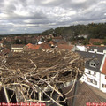 13_35-nest.jpg