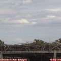 13_40-mast.jpg