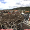 13_40-nest.jpg