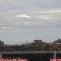 13_45-mast.jpg