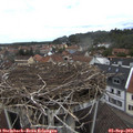 13_45-nest.jpg