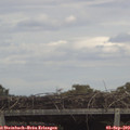 13_50-mast.jpg