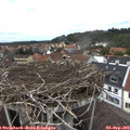 13_50-nest.jpg