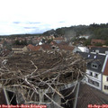 14_00-nest.jpg
