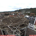 14_05-nest.jpg