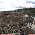 14_10-nest.jpg
