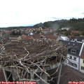 14_20-nest.jpg