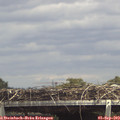 14_25-mast.jpg