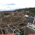 14_30-nest.jpg
