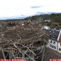 14_35-nest.jpg