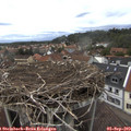 14_40-nest.jpg