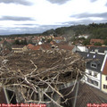 14_45-nest.jpg