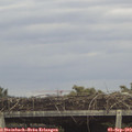 14_50-mast.jpg