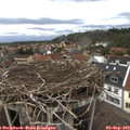 14_50-nest.jpg