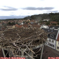 14_55-nest.jpg