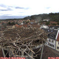 15_00-nest.jpg