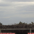 15_05-mast.jpg