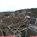15_05-nest.jpg