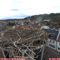 15_10-nest.jpg