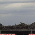 15_15-mast.jpg