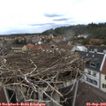 15_15-nest.jpg