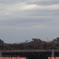15_20-mast.jpg