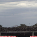 15_25-mast.jpg