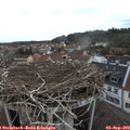 15_25-nest.jpg
