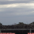 15_30-mast.jpg