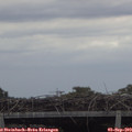 15_35-mast.jpg