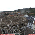 15_35-nest.jpg