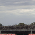 15_40-mast.jpg