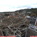 15_40-nest.jpg