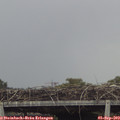 15_50-mast.jpg
