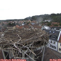 15_50-nest.jpg