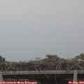 15_55-mast.jpg
