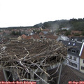 15_55-nest.jpg